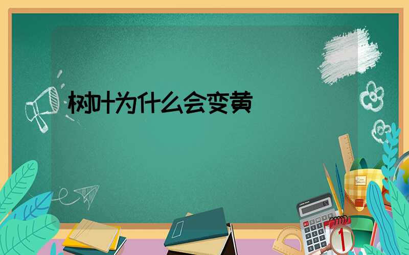 树叶为什么会变黄