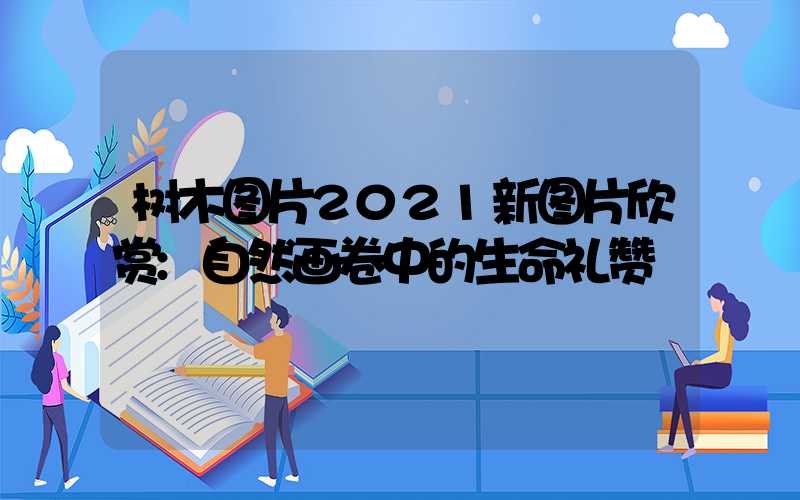 树木图片2021新图片欣赏:自然画卷中的生命礼赞