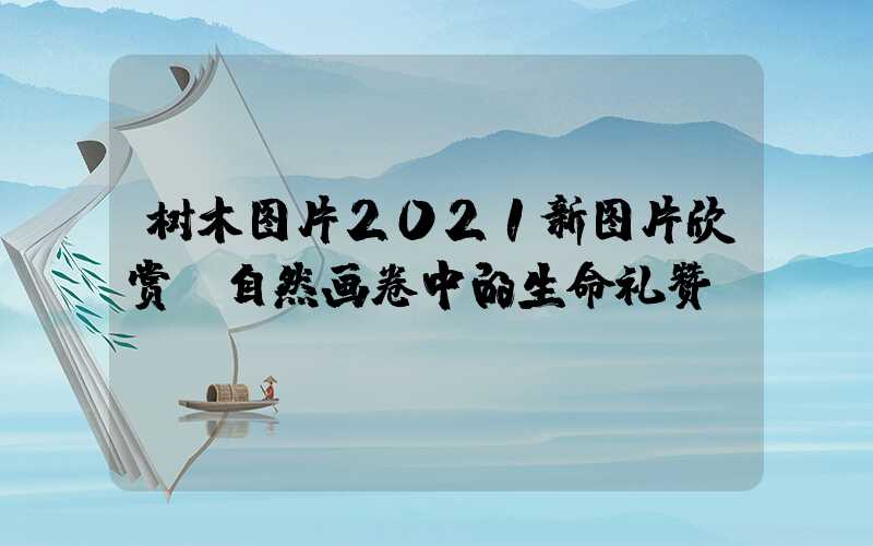 树木图片2021新图片欣赏：自然画卷中的生命礼赞