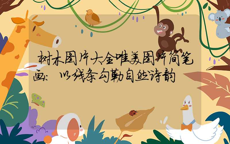 树木图片大全唯美图片简笔画:以线条勾勒自然诗韵