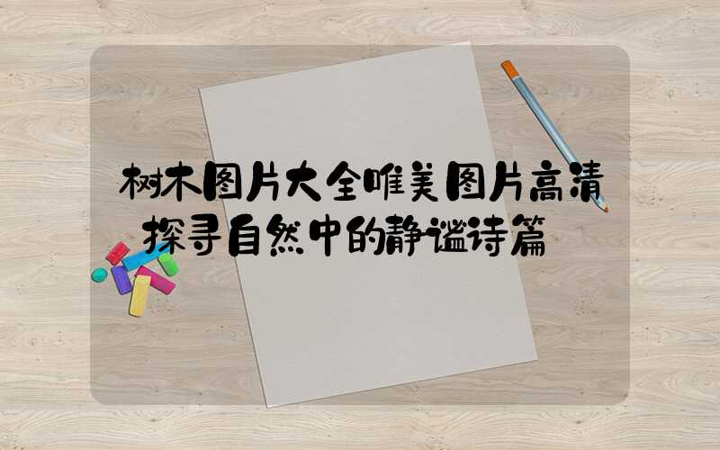 树木图片大全唯美图片高清:探寻自然中的静谧诗篇