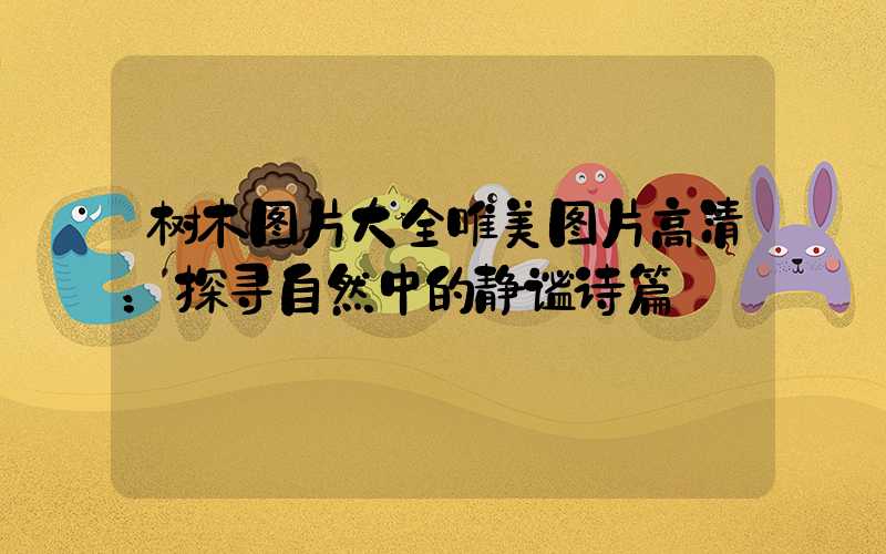 树木图片大全唯美图片高清：探寻自然中的静谧诗篇