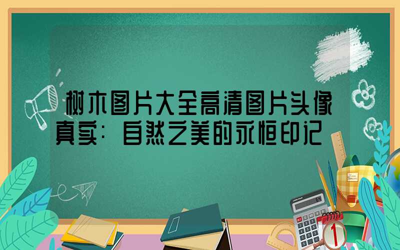 树木图片大全高清图片头像真实:自然之美的永恒印记