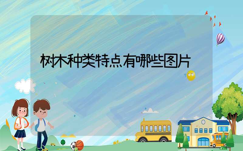 树木种类特点有哪些图片