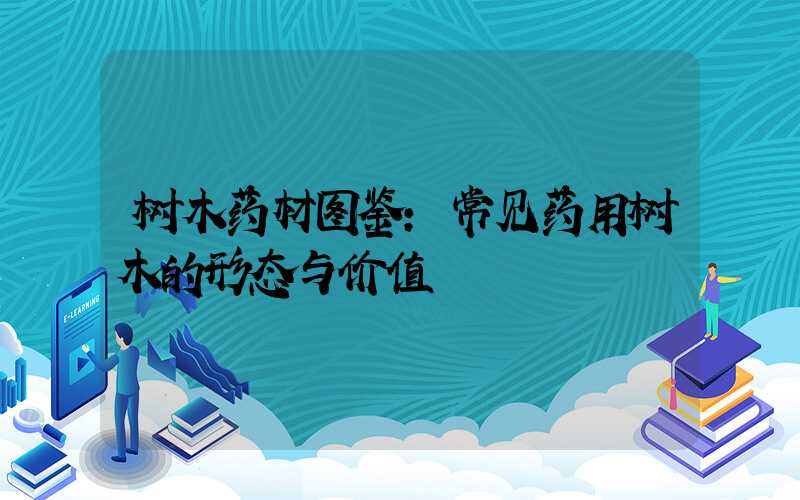 树木药材图鉴:常见药用树木的形态与价值