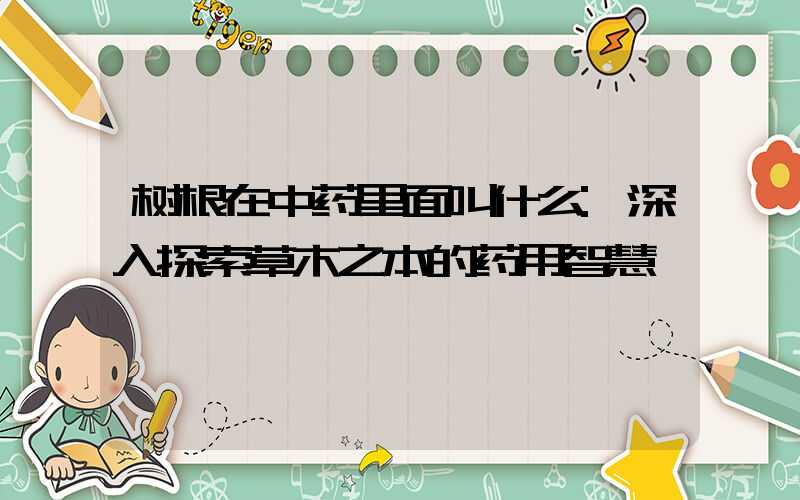 树根在中药里面叫什么:深入探索草木之本的药用智慧