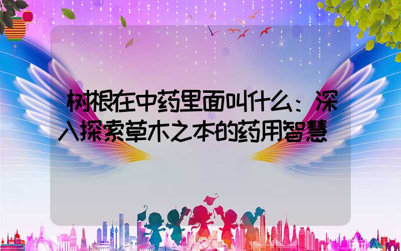 树根在中药里面叫什么：深入探索草木之本的药用智慧