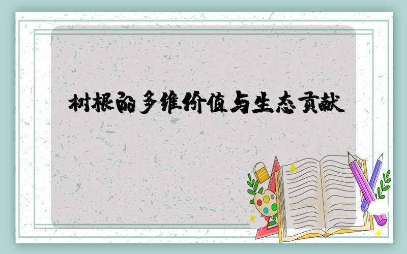 树根的多维价值与生态贡献