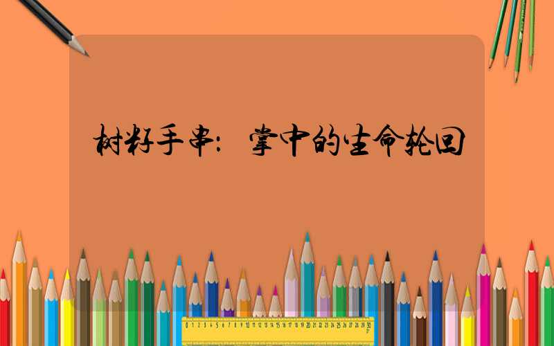 树籽手串：掌中的生命轮回