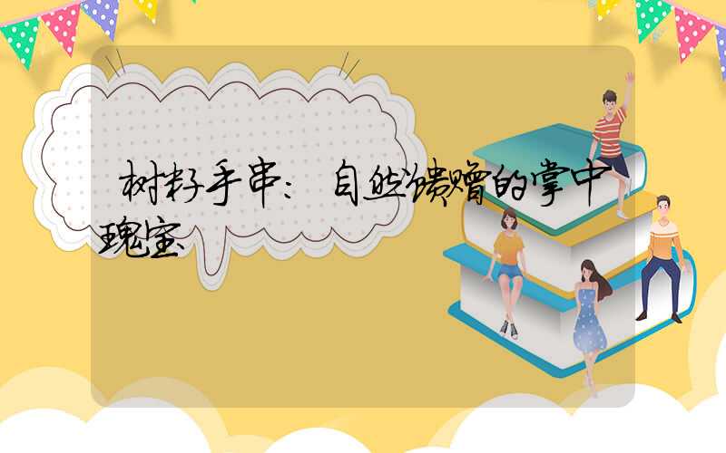 树籽手串：自然馈赠的掌中瑰宝