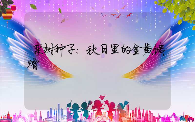 栾树种子：秋日里的金黄馈赠