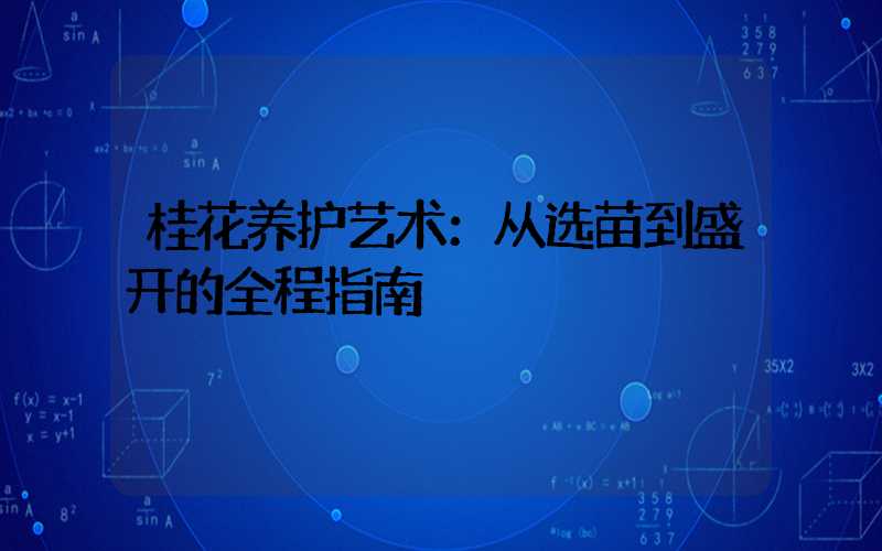 桂花养护艺术：从选苗到盛开的全程指南