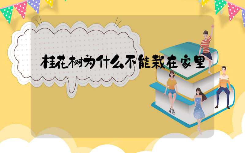 桂花树为什么不能栽在家里