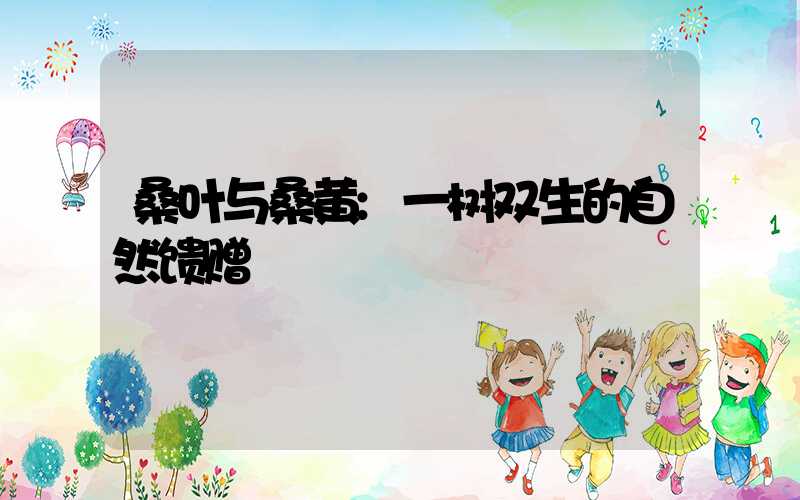 桑叶与桑黄:一树双生的自然馈赠