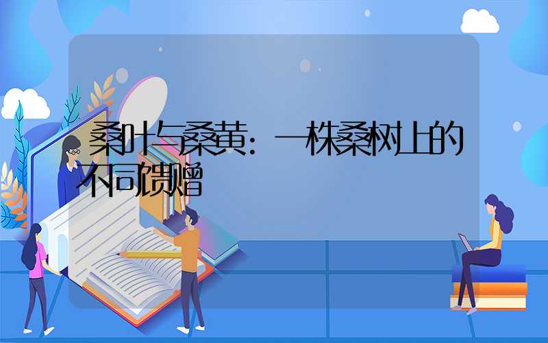桑叶与桑黄:一株桑树上的不同馈赠