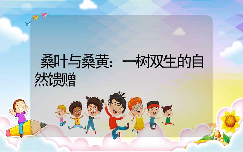 桑叶与桑黄：一树双生的自然馈赠