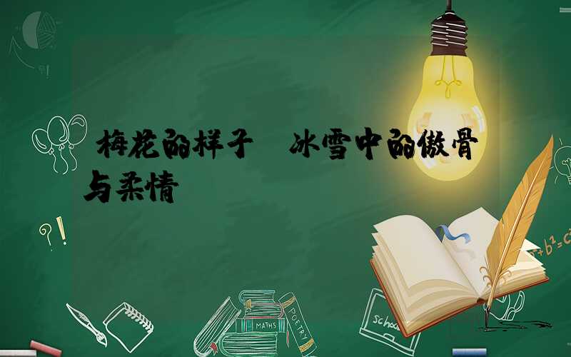 梅花的样子:冰雪中的傲骨与柔情