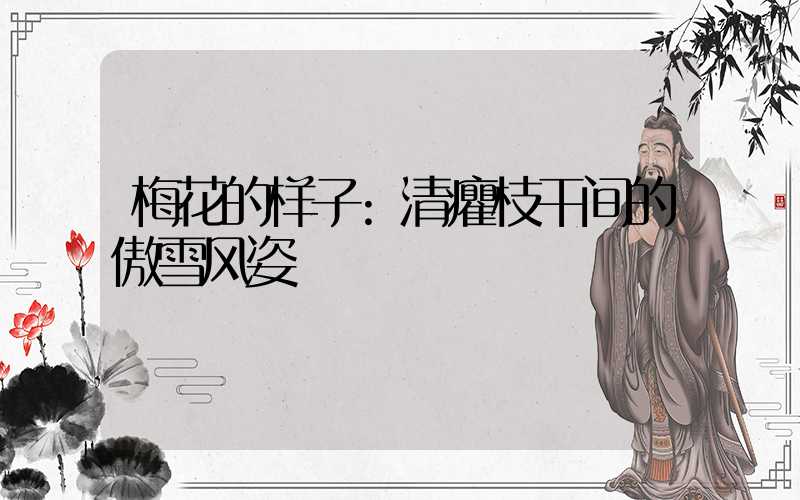 梅花的样子:清癯枝干间的傲雪风姿