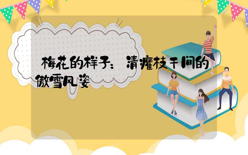 梅花的样子：清癯枝干间的傲雪风姿