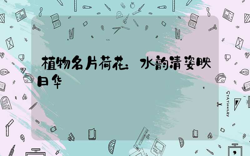 植物名片荷花：水韵清姿映日华