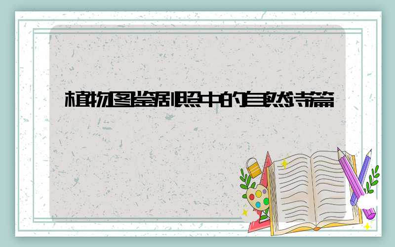 植物图鉴剧照中的自然诗篇