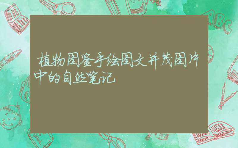 植物图鉴手绘图文并茂图片中的自然笔记