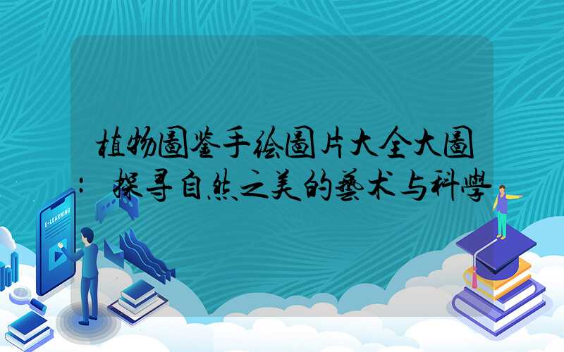 植物图鉴手绘图片大全大图:探寻自然之美的艺术与科学