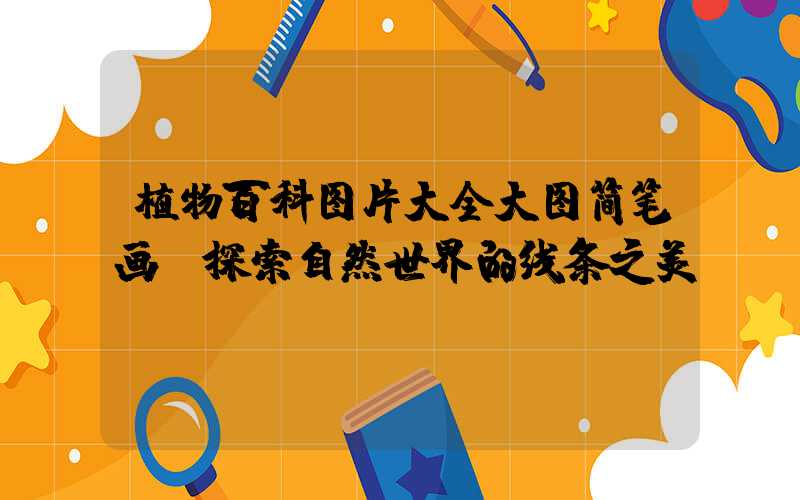 植物百科图片大全大图简笔画：探索自然世界的线条之美