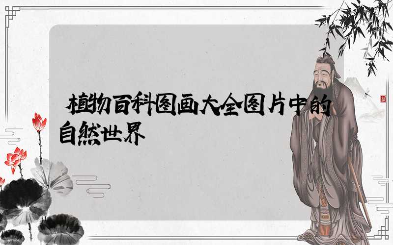 植物百科图画大全图片中的自然世界