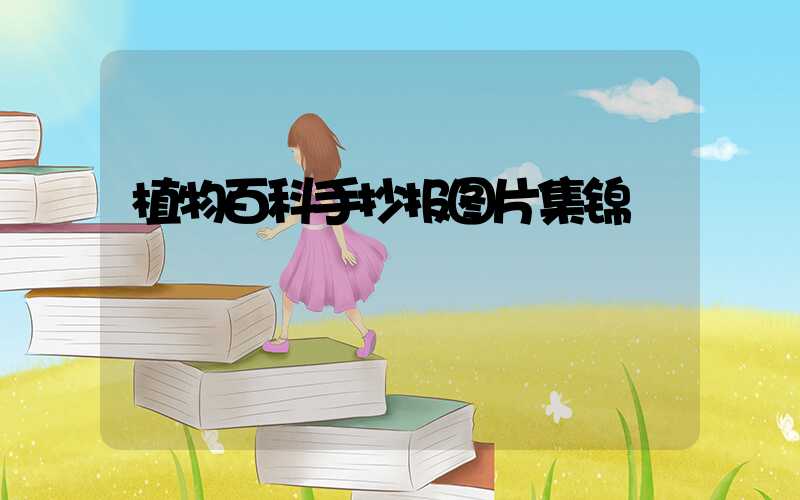 植物百科手抄报图片集锦