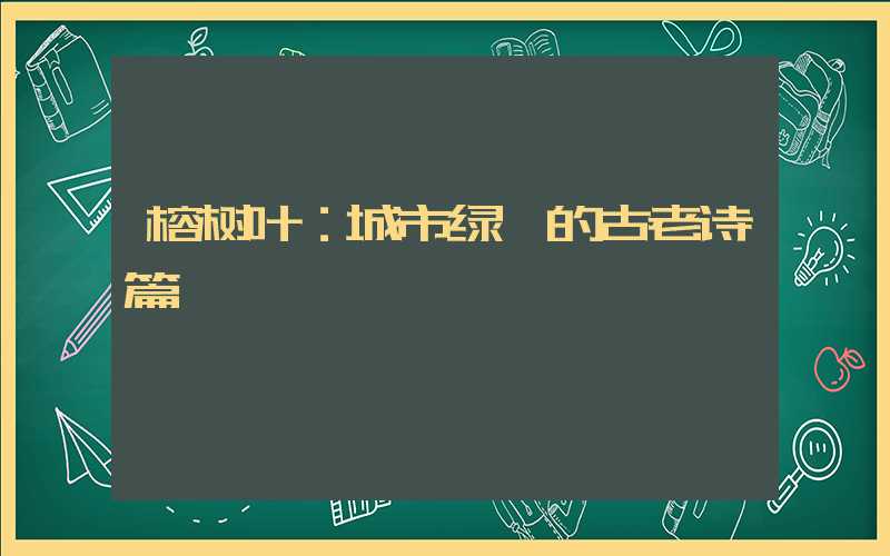 榕树叶：城市绿荫的古老诗篇