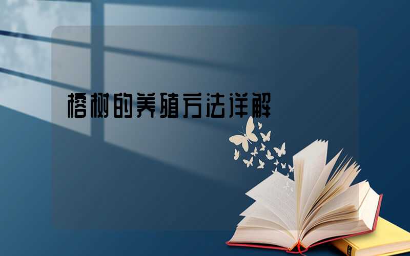 榕树的养殖方法详解