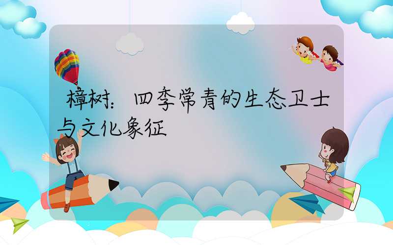 樟树：四季常青的生态卫士与文化象征