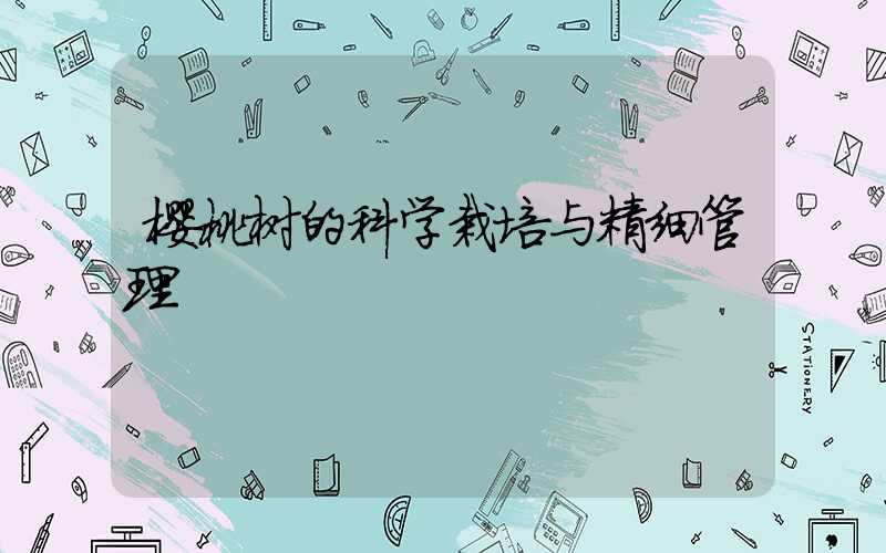 樱桃树的科学栽培与精细管理