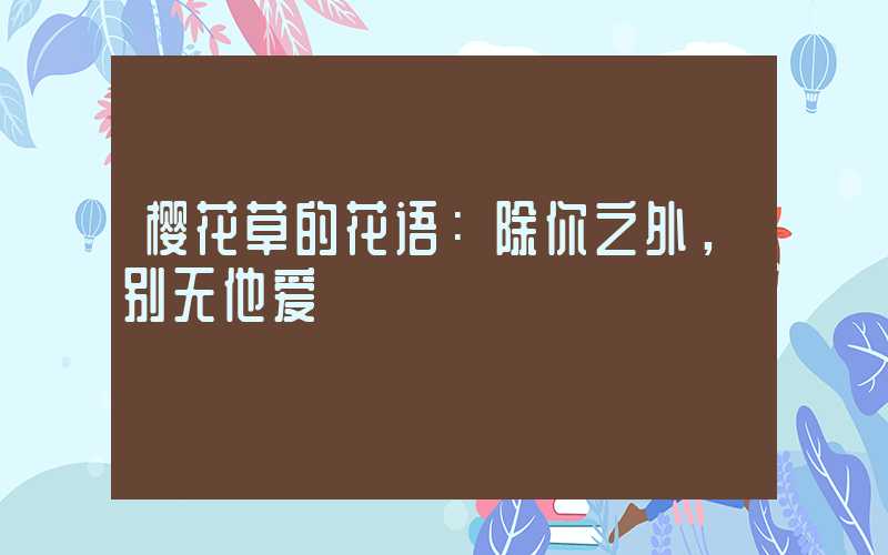 樱花草的花语：除你之外，别无他爱