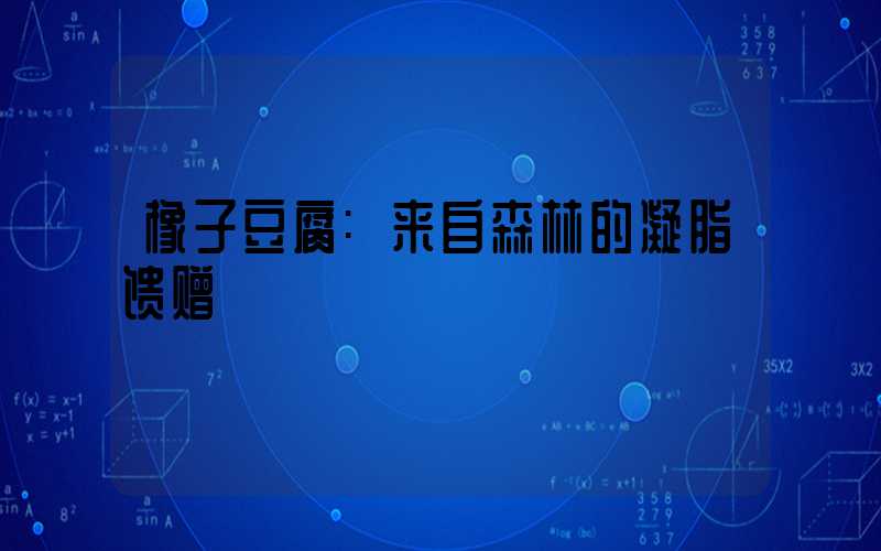 橡子豆腐:来自森林的凝脂馈赠