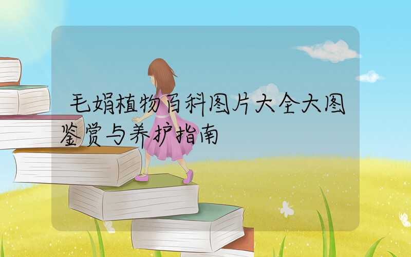 毛娟植物百科图片大全大图鉴赏与养护指南