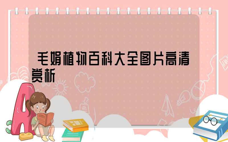毛娟植物百科大全图片高清赏析