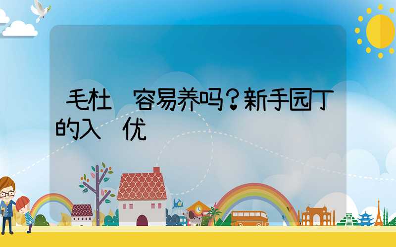 毛杜鹃容易养吗？新手园丁的入门优选