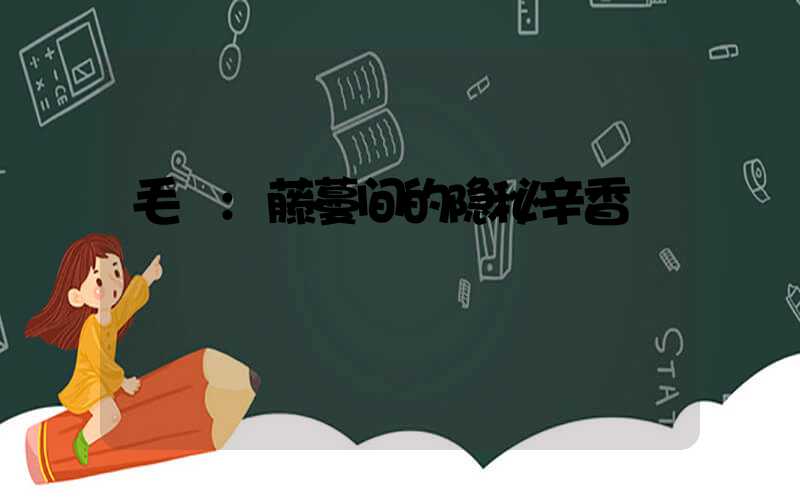 毛蒟:藤蔓间的隐秘辛香