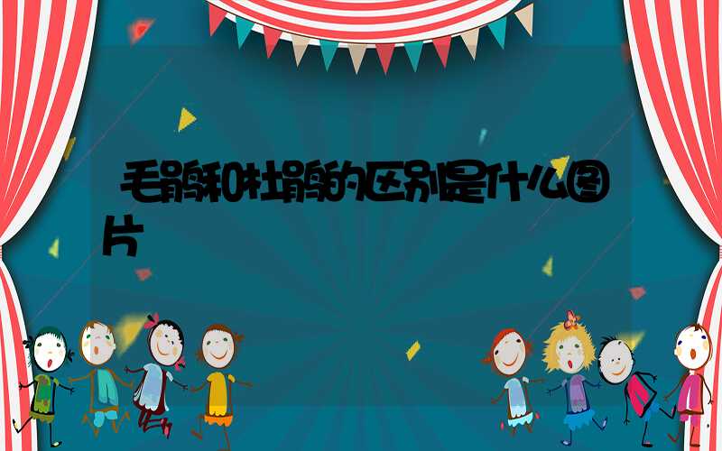 毛鹃和杜鹃的区别是什么图片