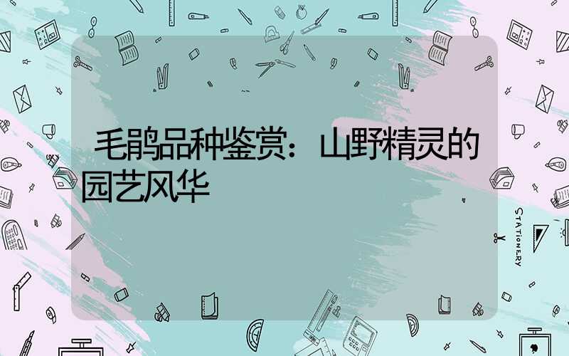 毛鹃品种鉴赏：山野精灵的园艺风华