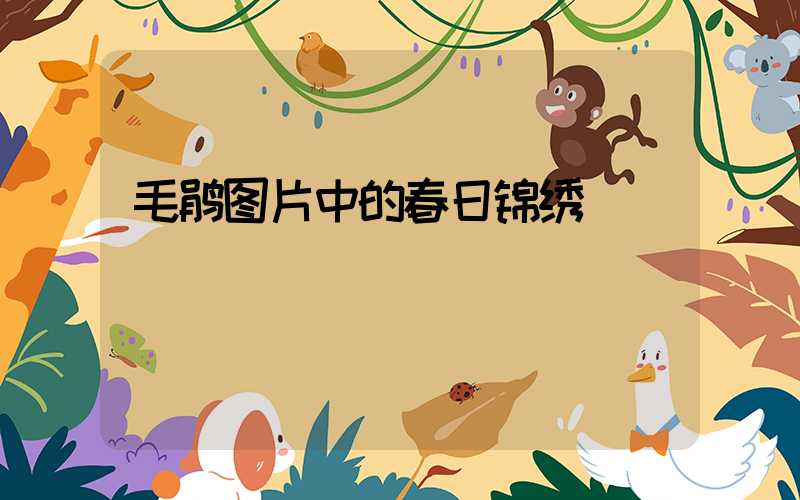 毛鹃图片中的春日锦绣