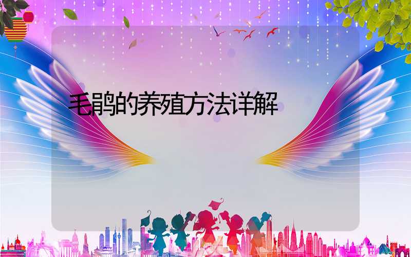 毛鹃的养殖方法详解