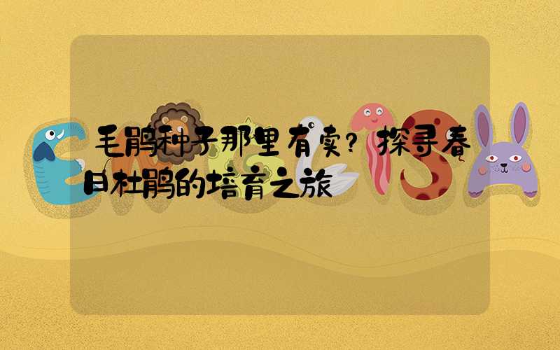 毛鹃种子那里有卖？探寻春日杜鹃的培育之旅