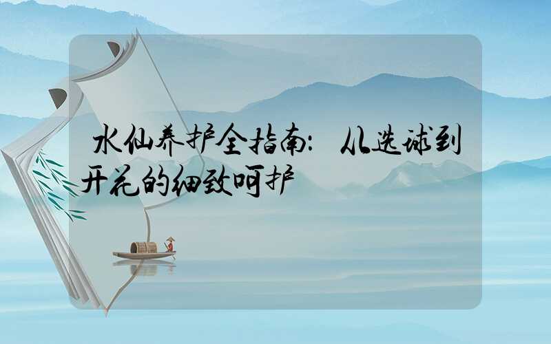 水仙养护全指南：从选球到开花的细致呵护