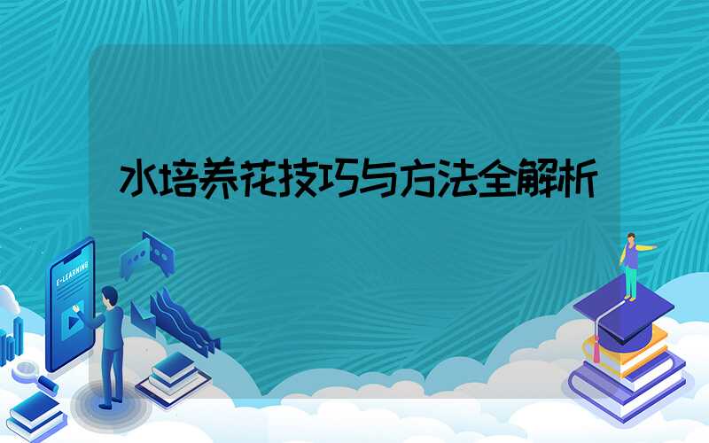 水培养花技巧与方法全解析