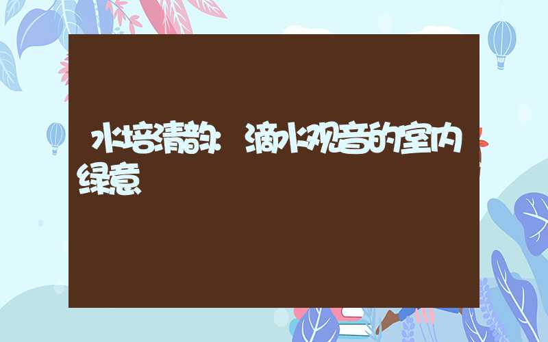 水培清韵:滴水观音的室内绿意