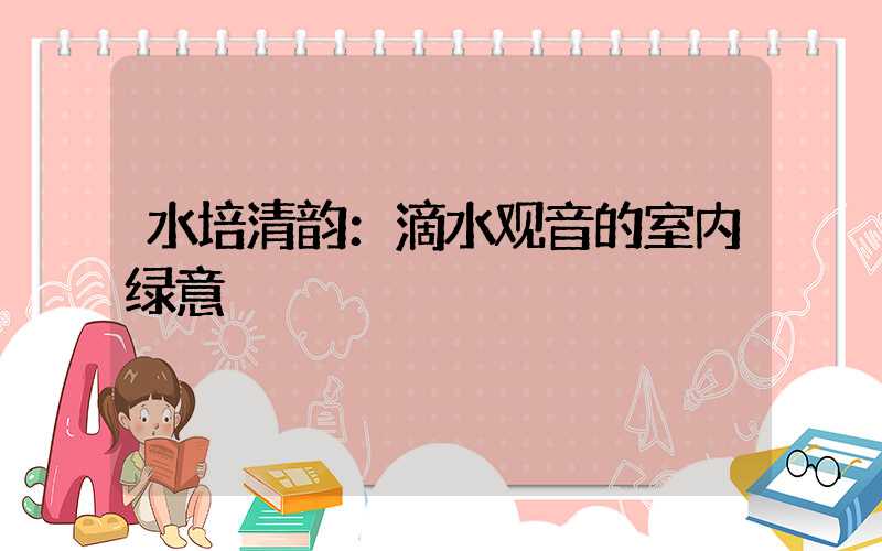 水培清韵：滴水观音的室内绿意