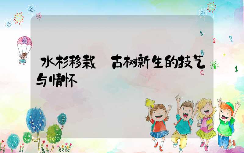 水杉移栽:古树新生的技艺与情怀